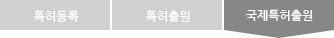 국제특허출원